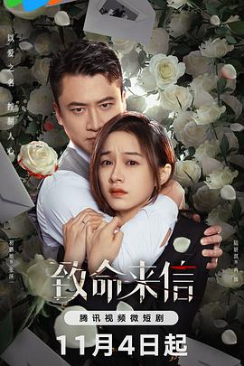 石家庄seo优化策略